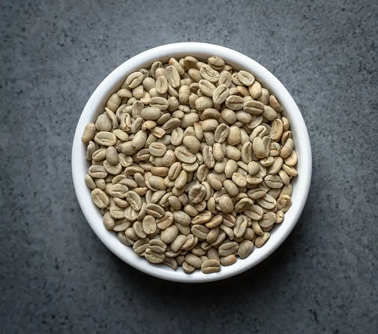Bolivia FTO Colonial Caranavi Green Coffee Bolivia FTO Colonial Caranavi green coffee beans in a white bowl on a dark tabletop