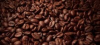 Green Coffee Beans