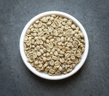 Bowl of Costa Rica Tarrazú SHB washed green coffee beans on a dark countertop