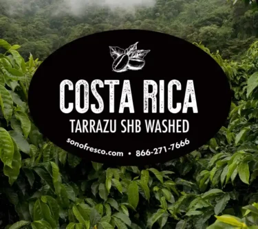 Costa Rica Tarrazu SHB Washed