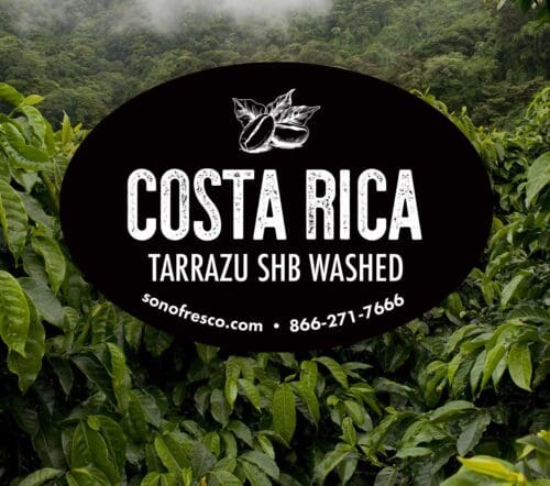 Costa Rica Tarrazu SHB Washed