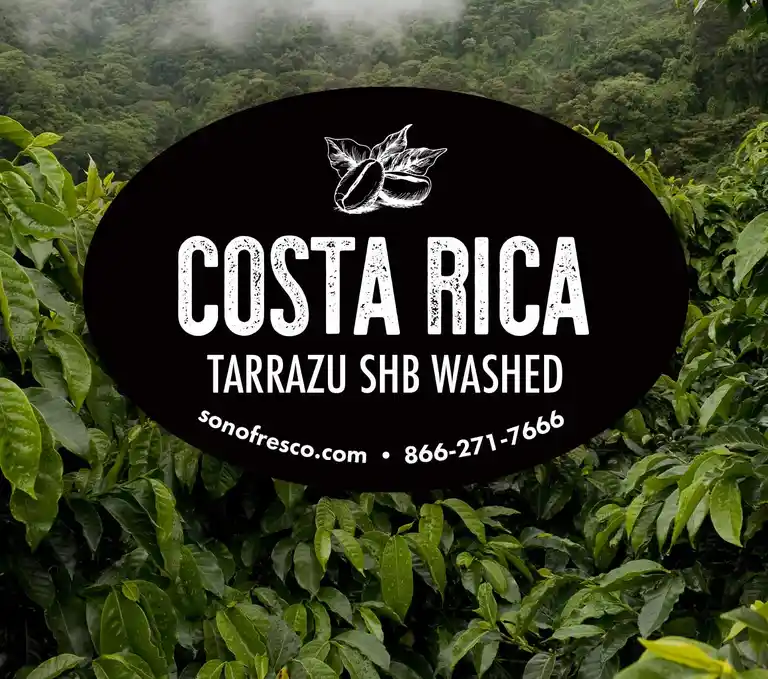 Costa Rica Tarrazu SHB Washed - 20lb