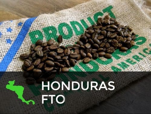 Honduras FTO Honduras FTO 500x378 Honduras FTO