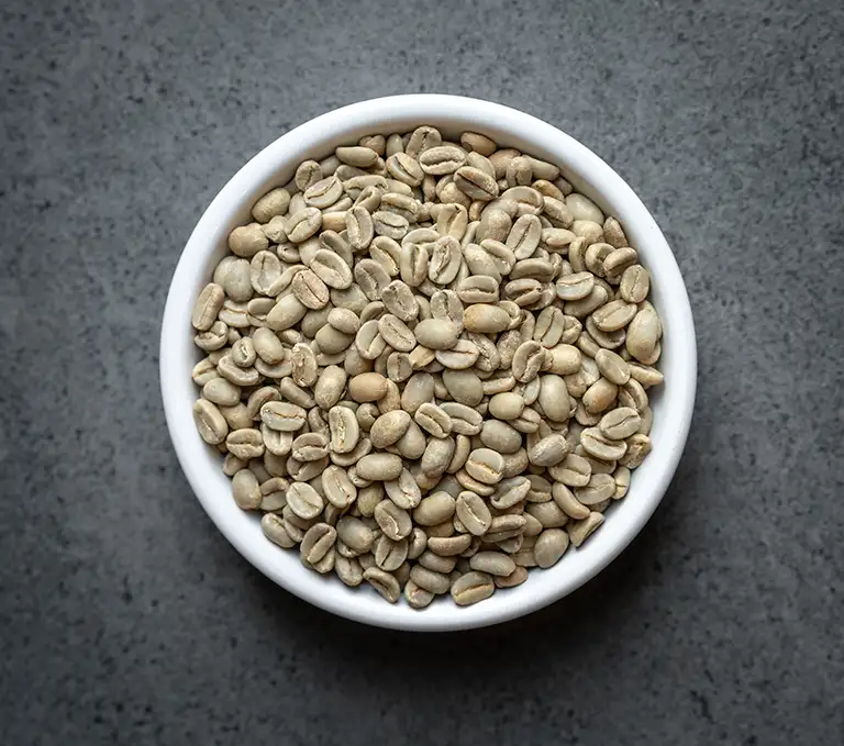 Papua New Guinea NOP Enorga Organic Green Coffee Beans Bowl of Papua New Guinea NOP Enorga Organic green coffee beans on a dark stone background