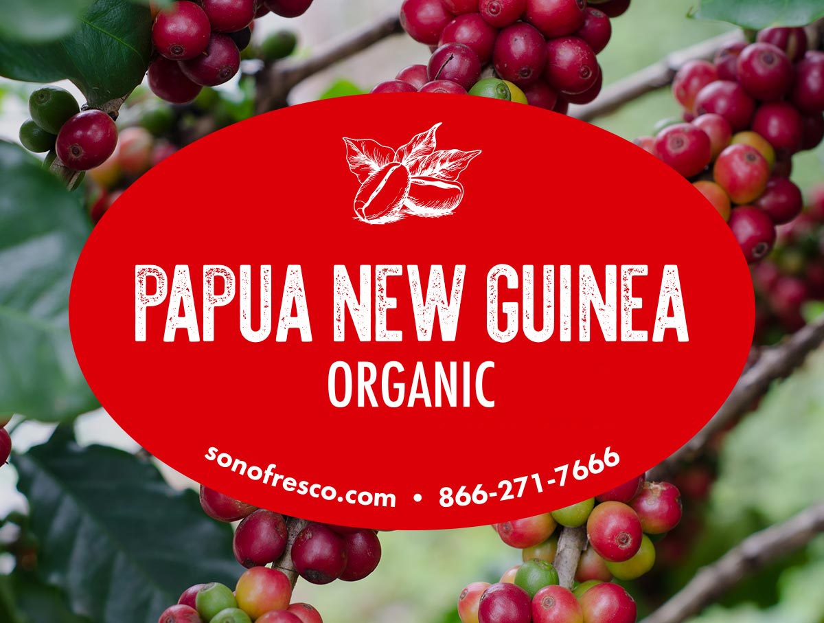 Papua New Guinea Organic NOP Coffee Beans for Sale Sonofresco