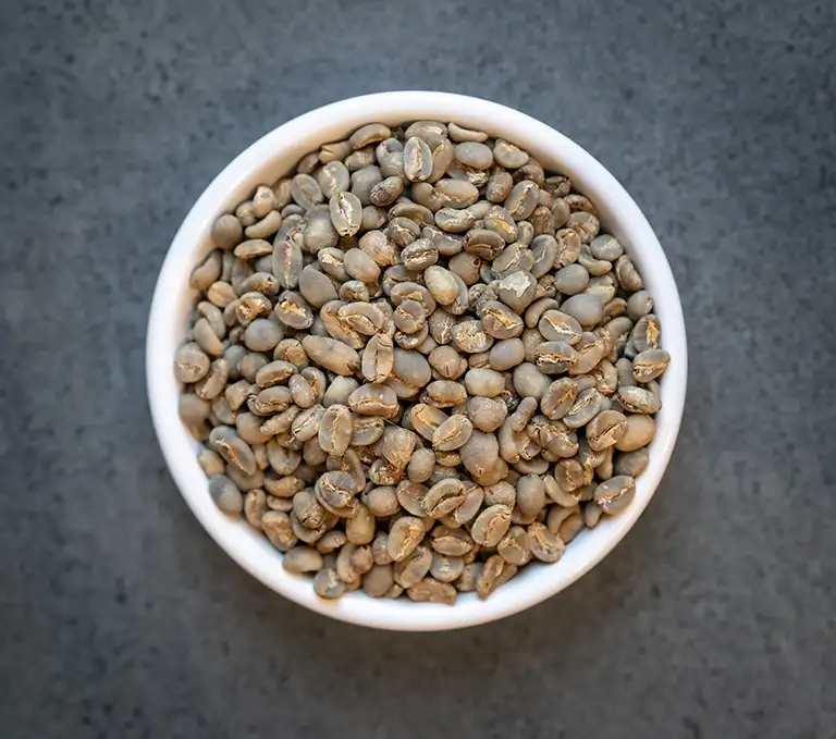 Sumatra Fair Trade Organic Green Coffee Beans Bowl of Sumatra FTO unroasted green coffee beans
