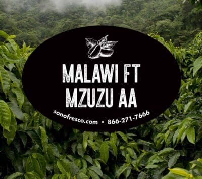 Malawi FT Mzuzu AA
