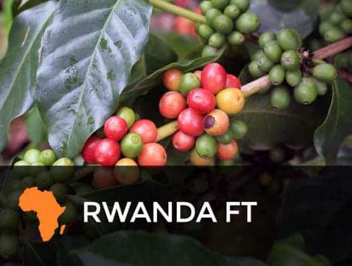 Rwanda FT Rwanda FT 500x378 Rwanda FT