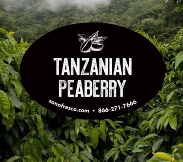 Tanzanian Peaberry