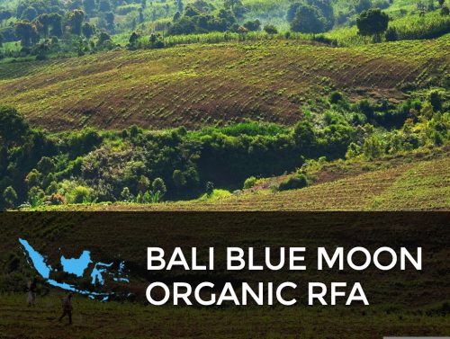 Bali Blue Moon Organic Bali Blue Moon Organic RFA 500x377 Bali Blue Moon Organic