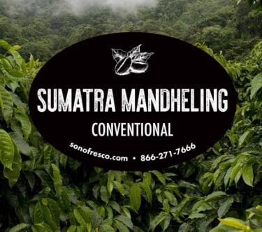 Sumatra Mandheling - Conventional