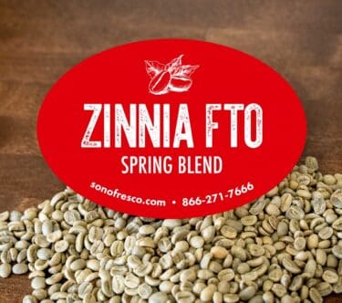 Zinnia FTO Spring blend