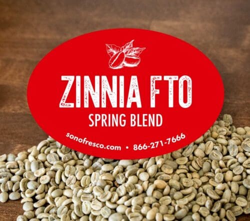 Zinnia FTO Spring blend