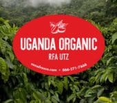 Uganda Organic UTZ - 46lb
