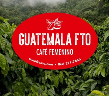 Guatemala Café Femenino FTO label over a lush green coffee farm background