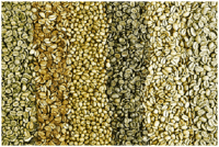 Green Coffee Beans for sale