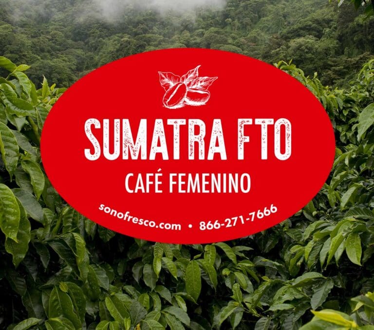 Sumatra FTO Café Femenino