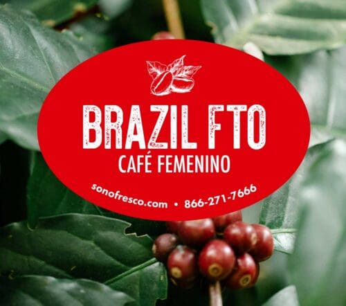 Brazil FTO Café Femenino
