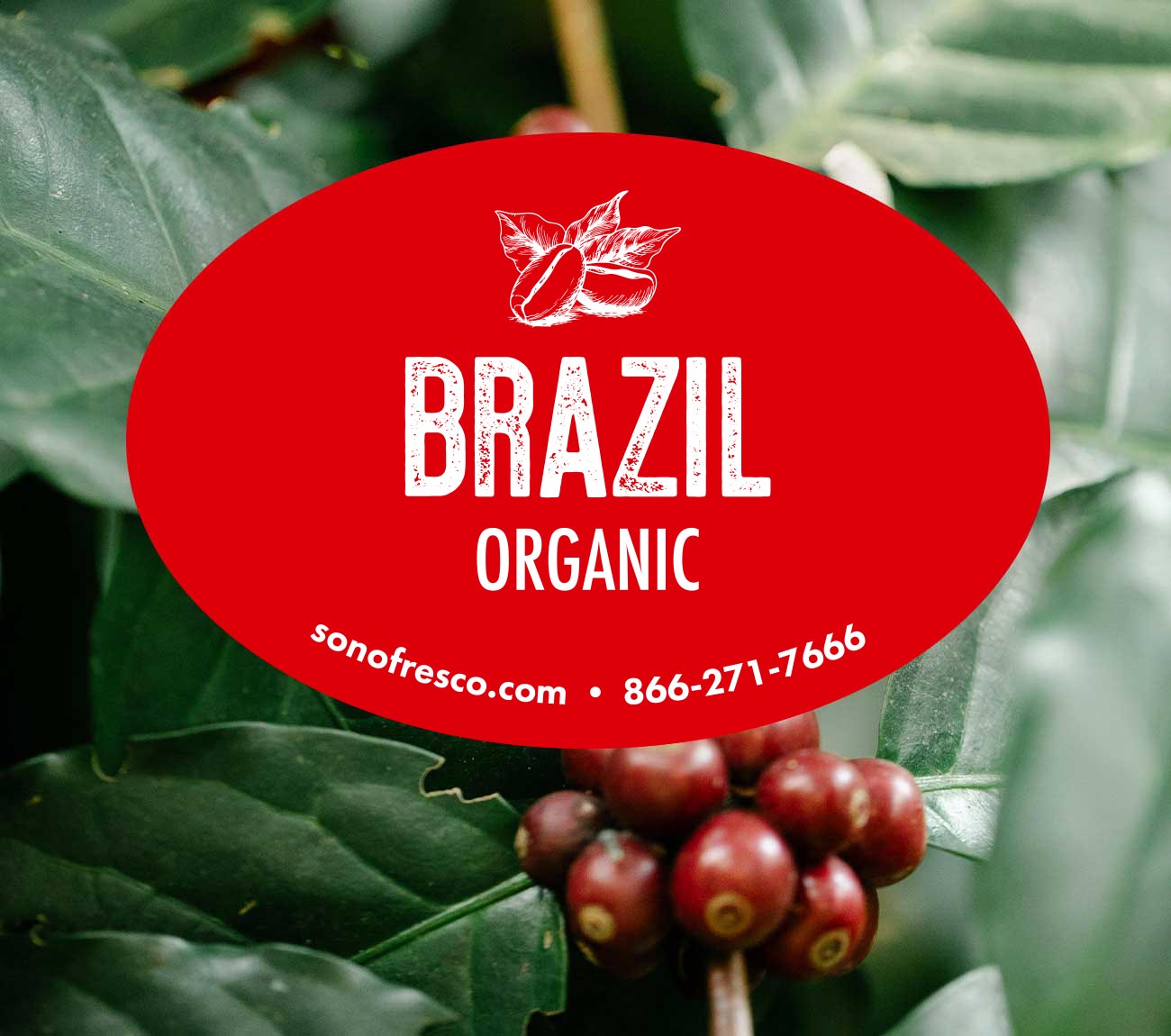 Brazil-Organic Brazil Organic - 20lb