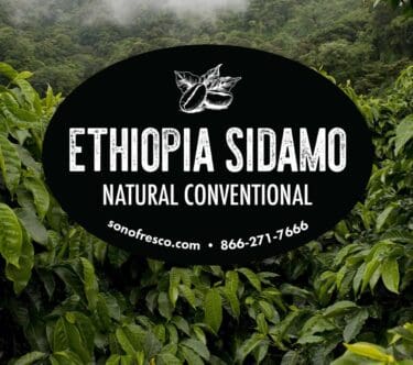 Ethiopia Sidamo Natural Conventional