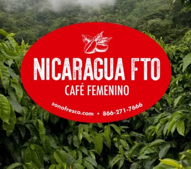 Nicaragua FTO Café Femenino logo over lush green coffee plants in Nicaragua