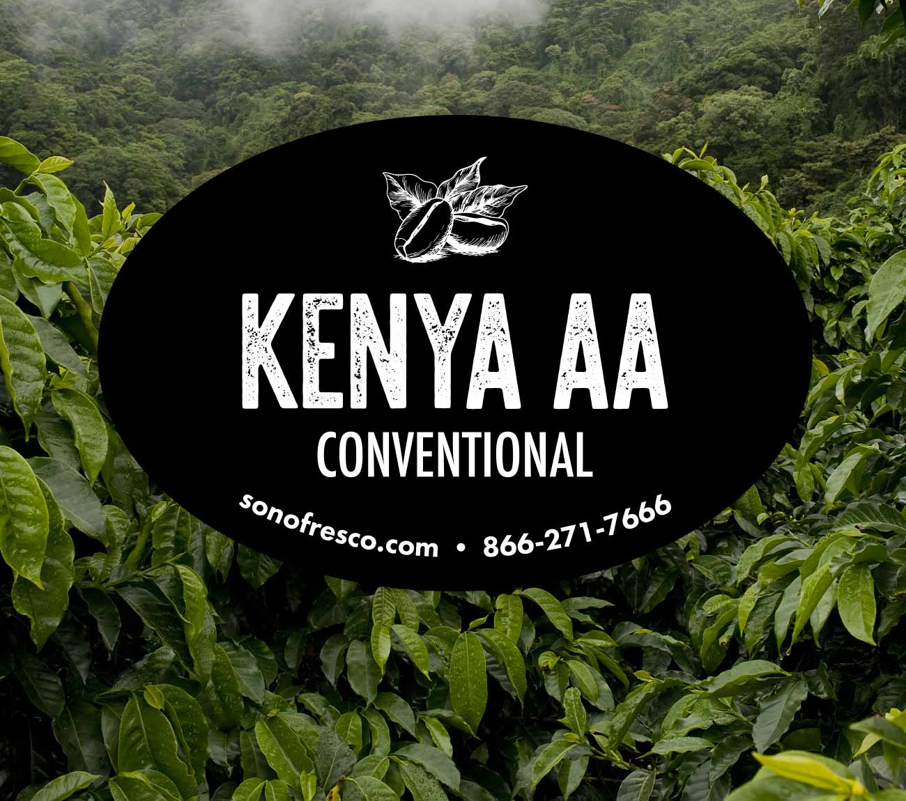 Kenya-AA-Conventional-Beans.jpg