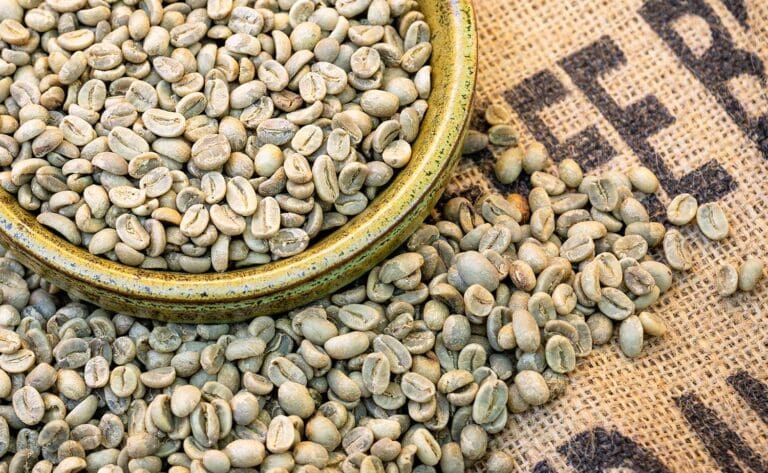 Unroasted green Colombian Fair Trade Organic coffee beans, highlighting their quality and readiness for roasting.