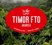 Timor Organic - 20lb