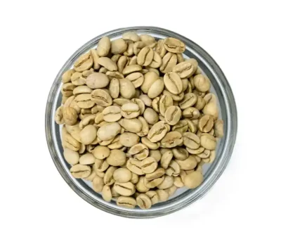 Bowl of Indian Monsooned Malabar unroasted green coffee beans on a white background